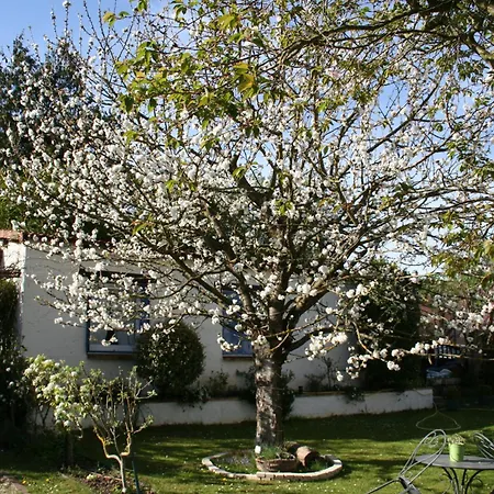 Couette-café Le Cerisier Mareil-Marly